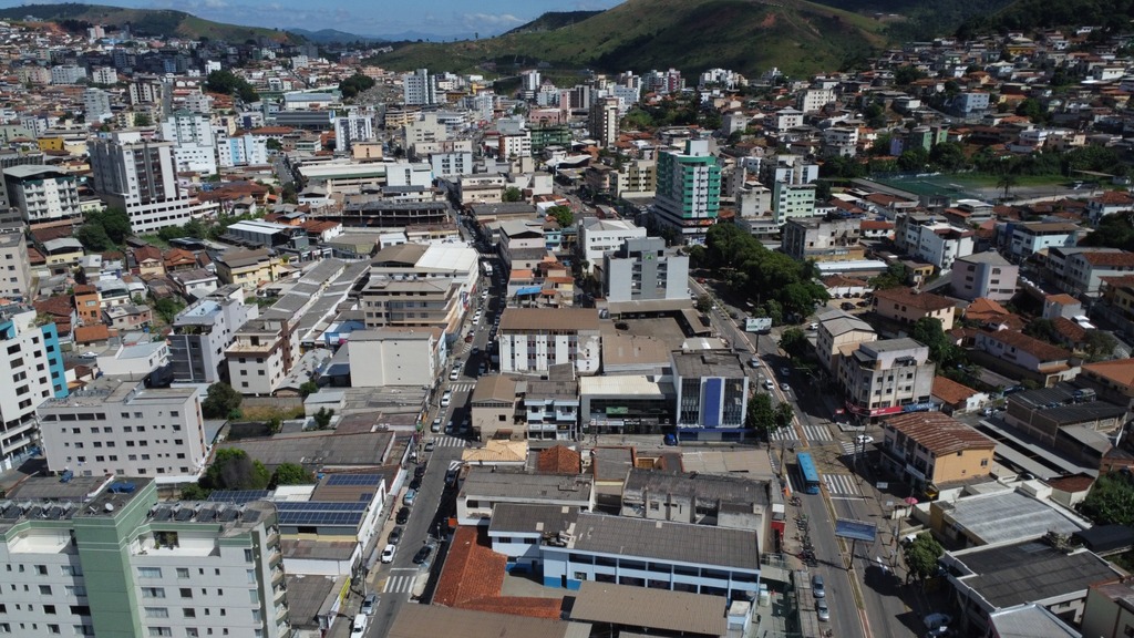 Monlevade tem 57% dos domicílios sem árvores: projeto de lei quer melhorar a arborização urbana